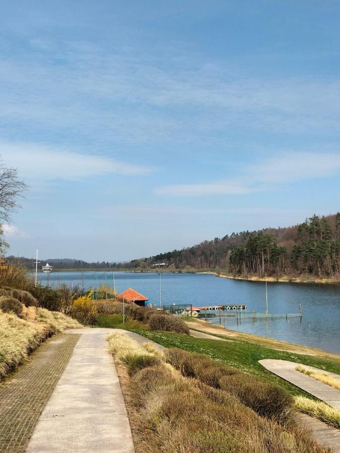 Neues-Ferienhaus-Am-Schoenen-Ferienpark-Twistesee-Naehe-Bad-Arolsen Bad Arolsen Exteriér fotografie